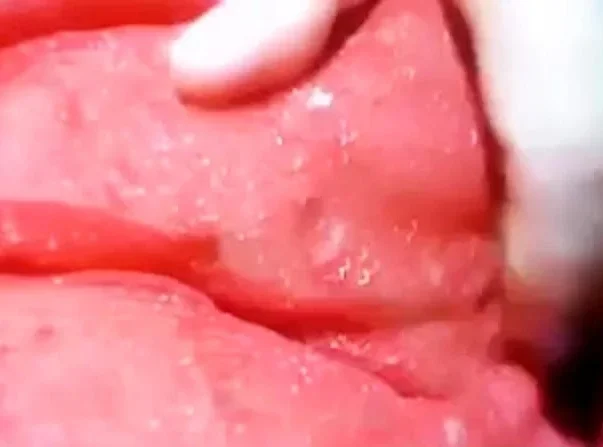 Asian MILF Teases on Webcam in Panties