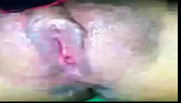 asian amateur pussy webcam