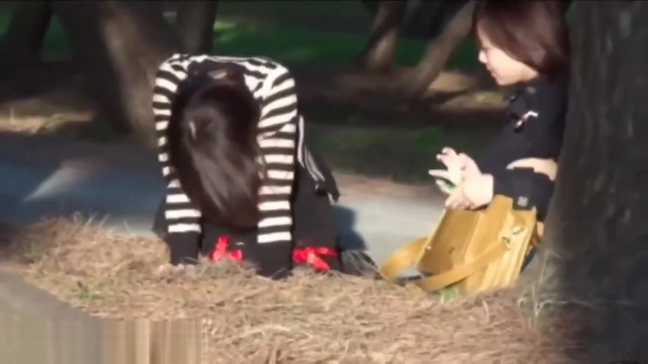 Astonishing adult video Japanese new like in your dreams