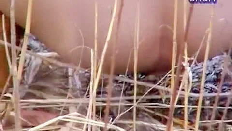My captured an Asian babe pissing outdoors